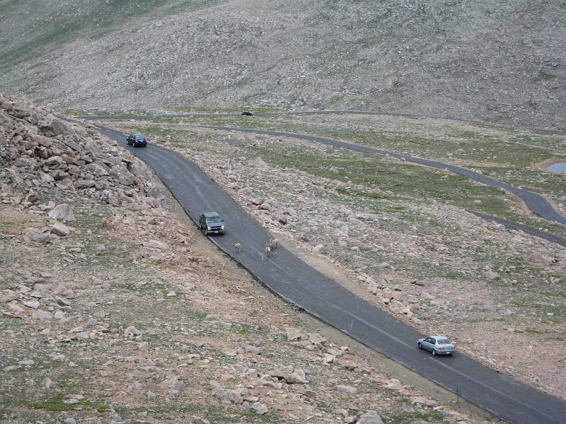 Mt Evans 052.JPG